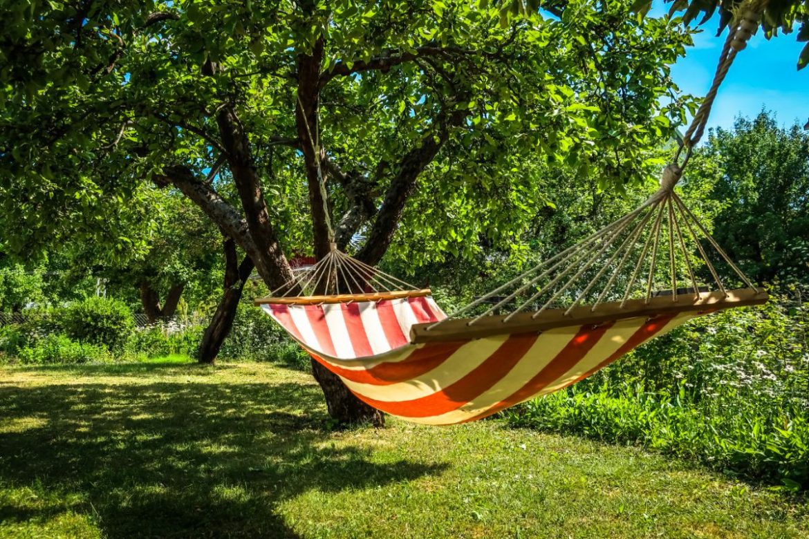 Décor de jardin : comment combiner hamac et plantes